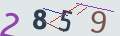 verifycode